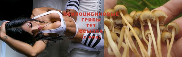 соль курить ск Алексеевка