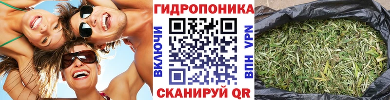хочу наркоту  Заинск  ссылка на мегу tor  Бошки марихуана OG Kush 